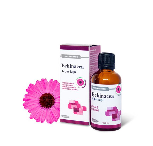 echinacea-kapi_0-3.jpg Echinacea kapi (50 ml) - Slika 1